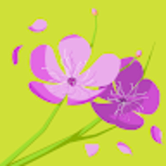 Meet your Posher, Juliana - Picture 1 of 1